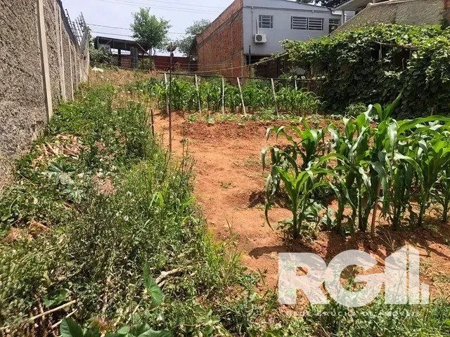 Imagem Terreno em Jardim Floresta