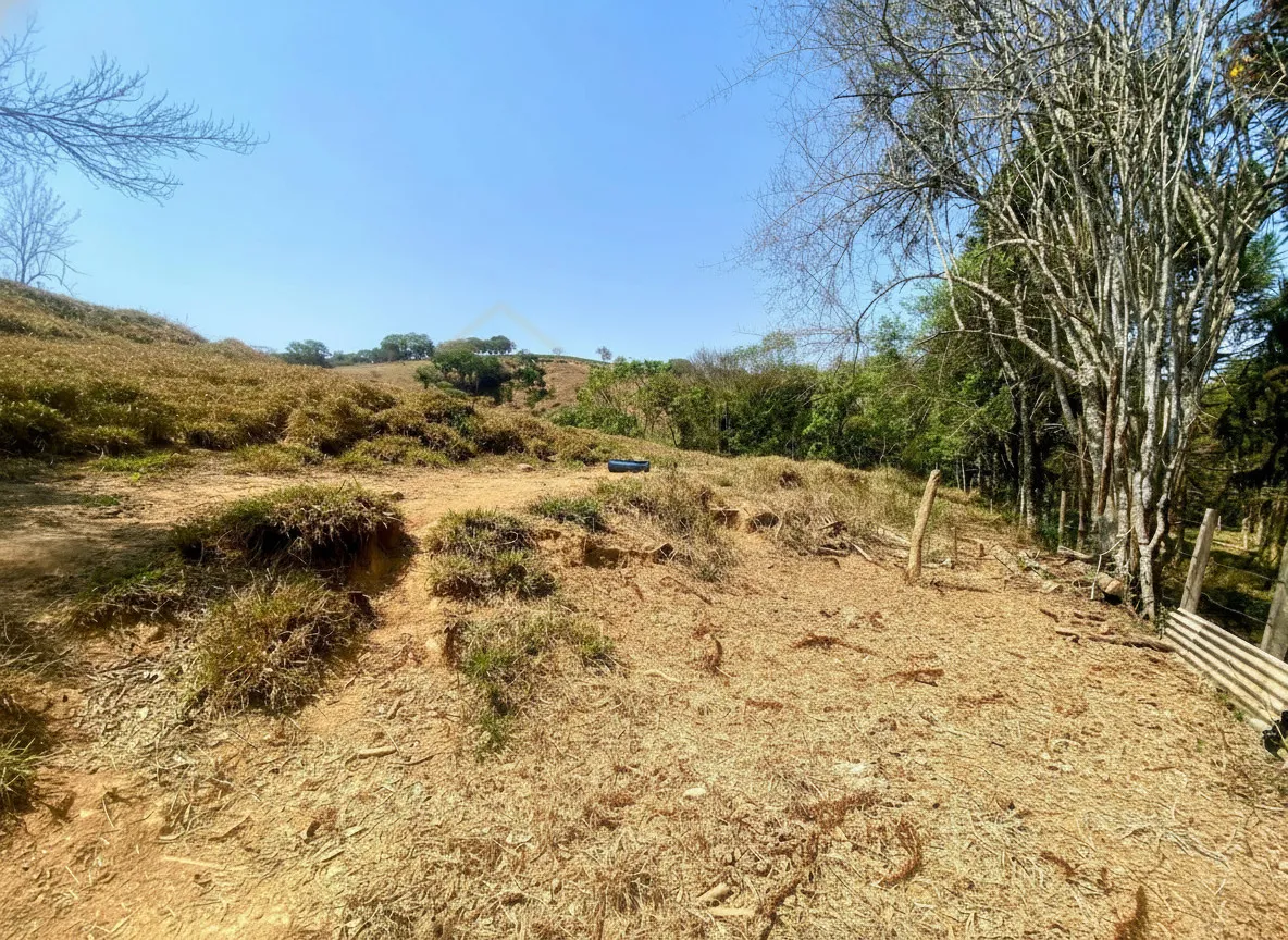 Imagem Sítio 2,42 ha à venda em Correias, Bandeira do Sul
