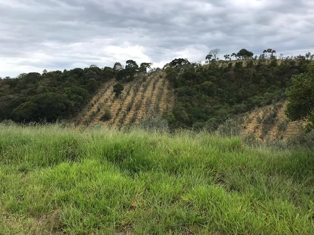Imagem Chácara à venda Pinhal Novo, Lorena - SP