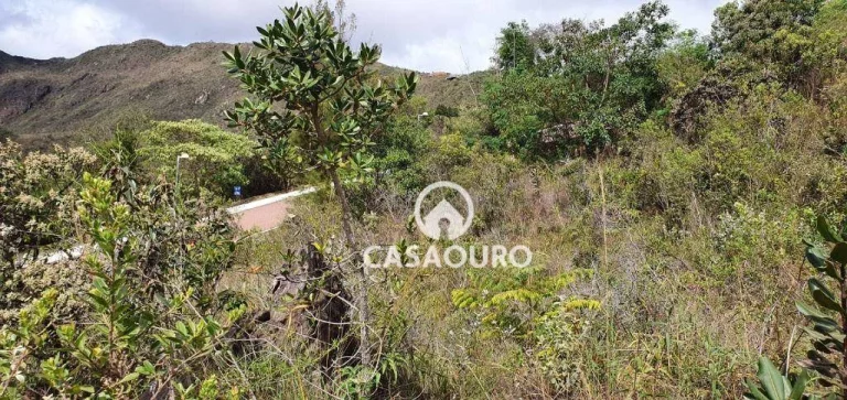 Imagem Terreno à venda, 2835 m² por R$ 1.290.000,00 - Condomínio Quintas do Morro - Nova Lima/MG
