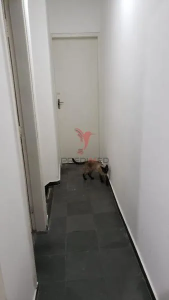 Imagem Casa 3 dormitórios 100m² Nova Piraju Sao Paulo/SP