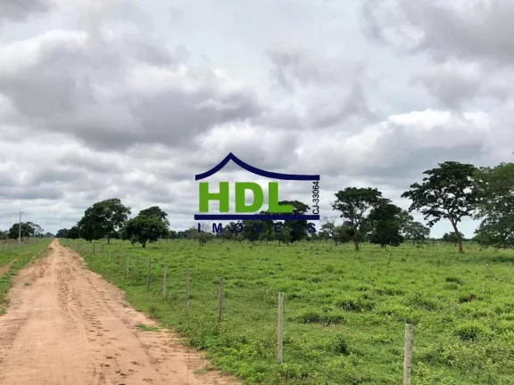 Imagem FAZENDA COM 1.180 ALQS ARAGUIANA MT