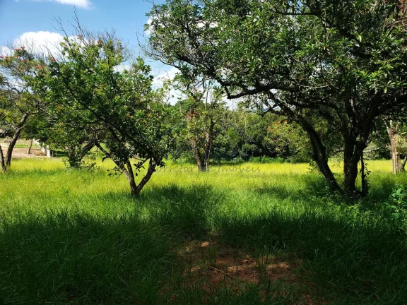 Imagem Terreno Padrão