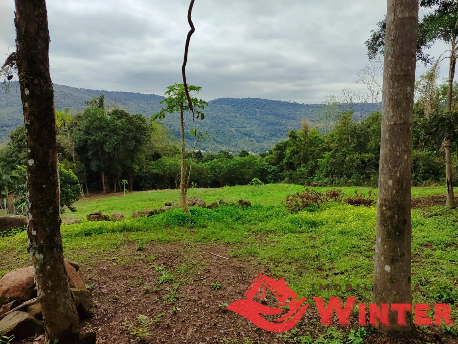 Imagem Amplo terreno de 3.640,32m² com linda vista próximo ao Welt Platz.