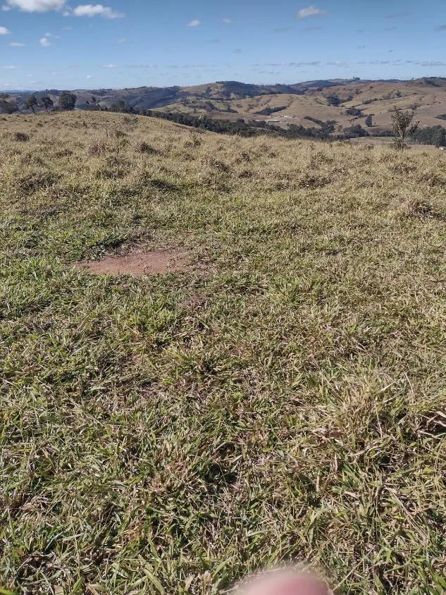 Imagem Vendo terreno em Crucilândia com 48 hectares de terra