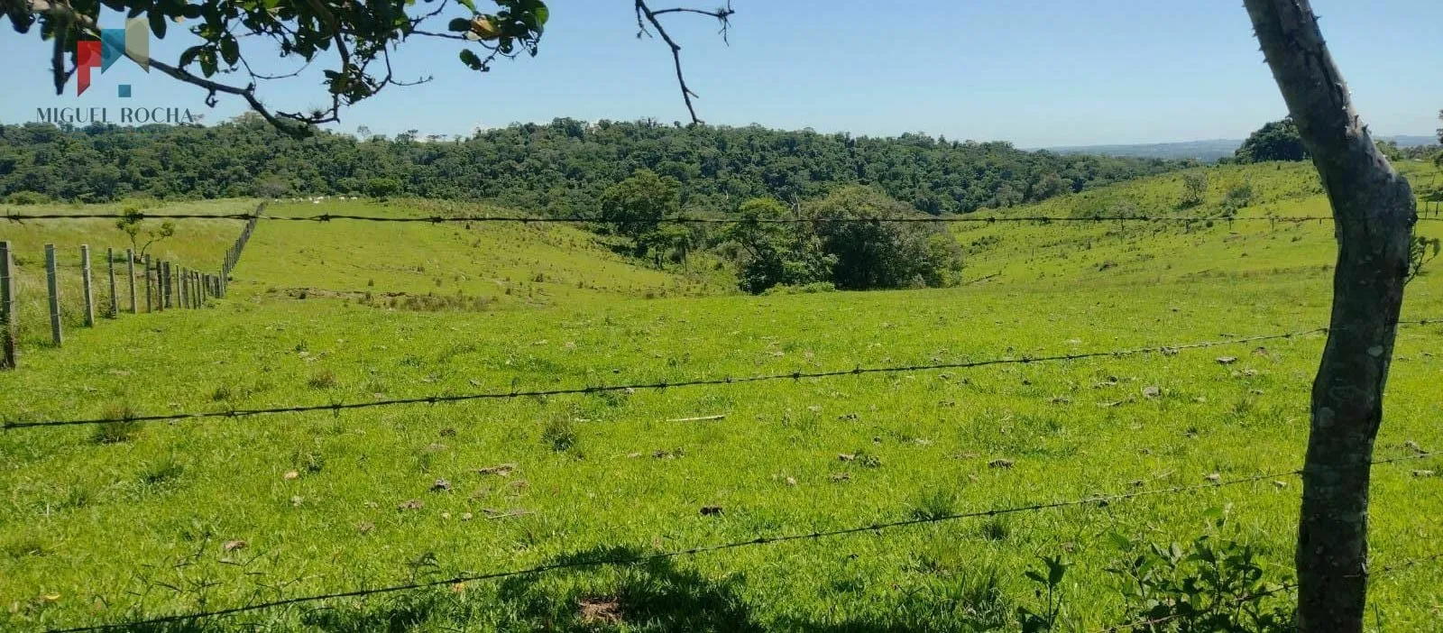 Imagem Sítio à venda no bairro Centro - Guareí/SP