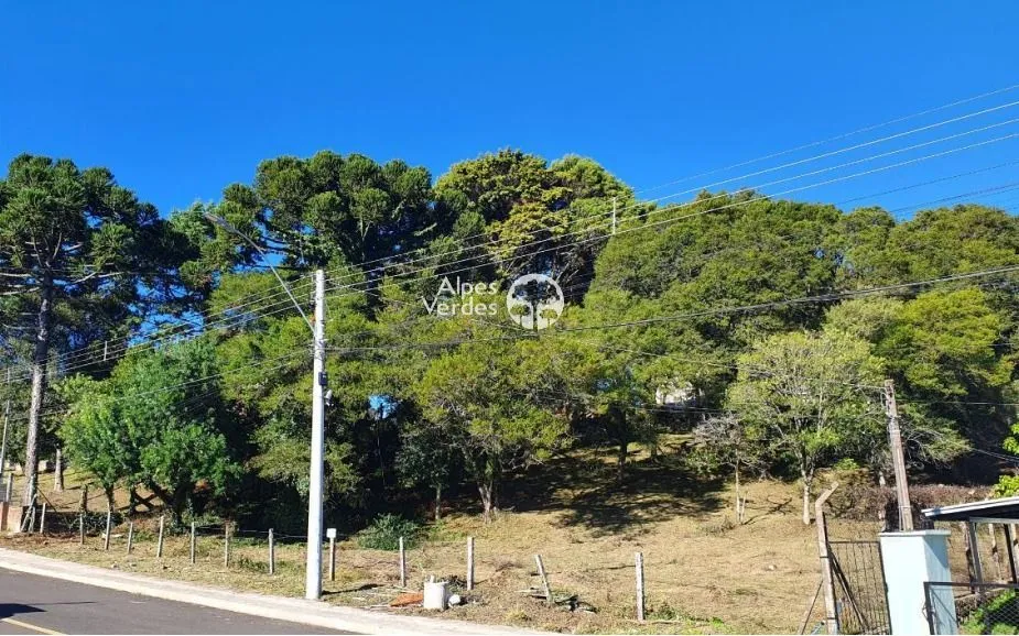 Imagem Terreno à venda, 1546 m2 por R$ 1.250.000 - Centro - Canela/RS