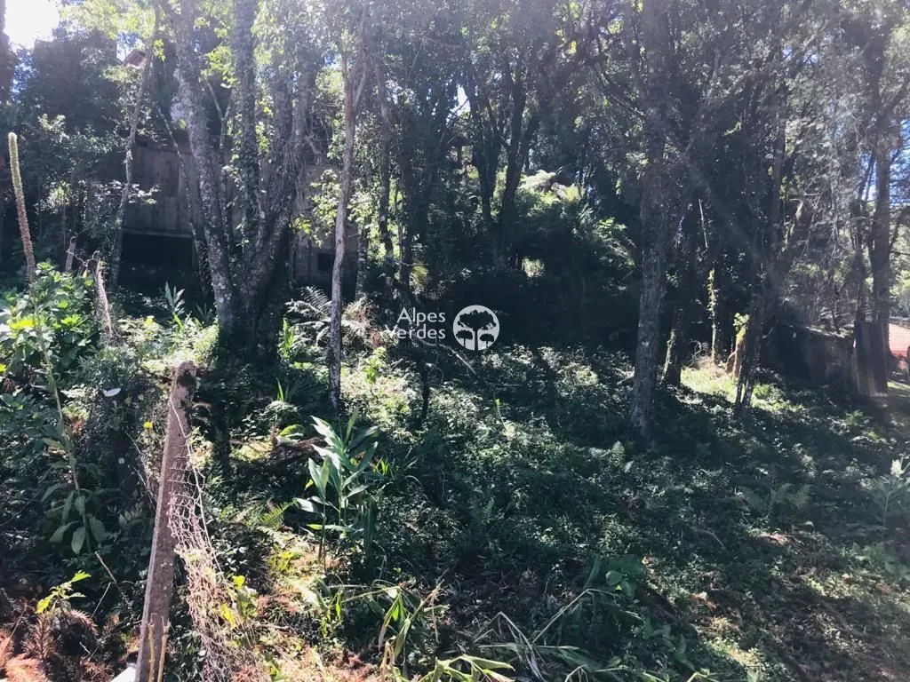 Imagem Terreno à venda, 840 m2 por R$ 419.999 - Palace Hotel - Canela/RS