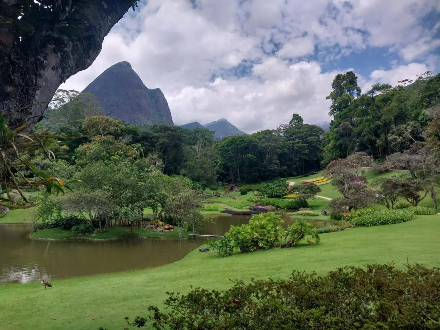 Imagem Empreendimento para Venda em Petrópolis / RJ no bairro Corrêas
