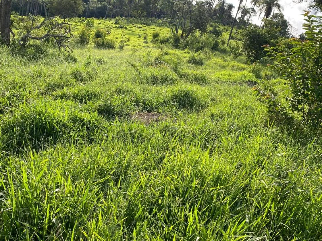 Imagem Excelente Terreno à Venda em Itaguara/MG: 19 Hectares com Fácil Acesso à BR-381