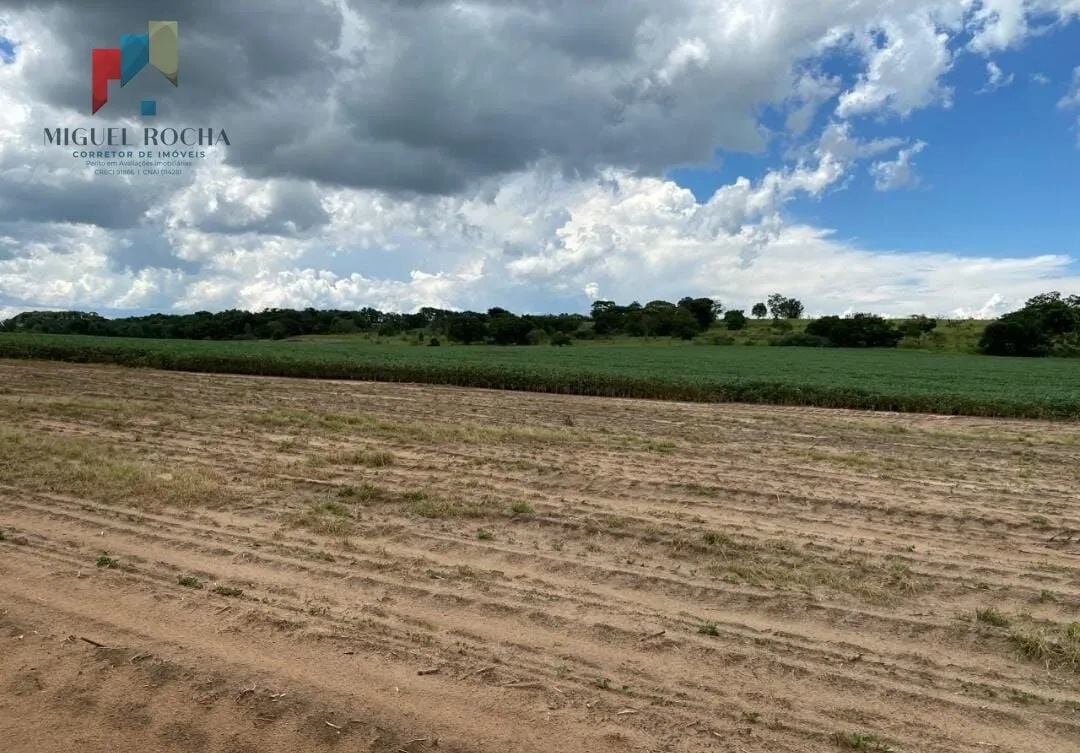 Imagem Fazenda região de Avaré SP