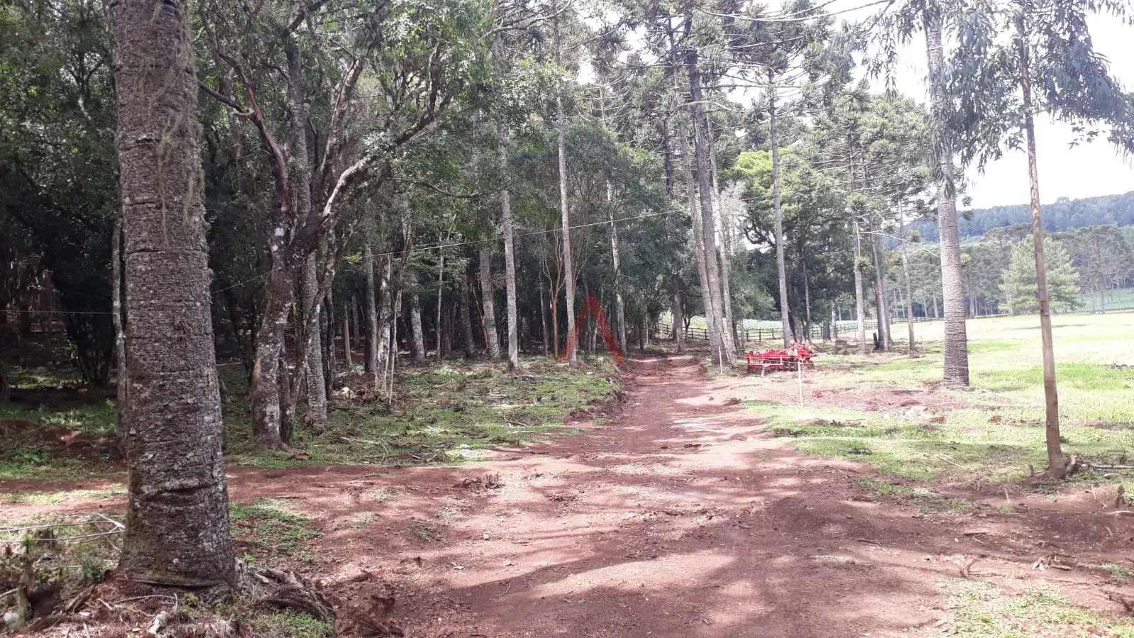 Imagem Area Rural Porteira Fechada, Arroio Fundo dos Rizis, TURVO - PR