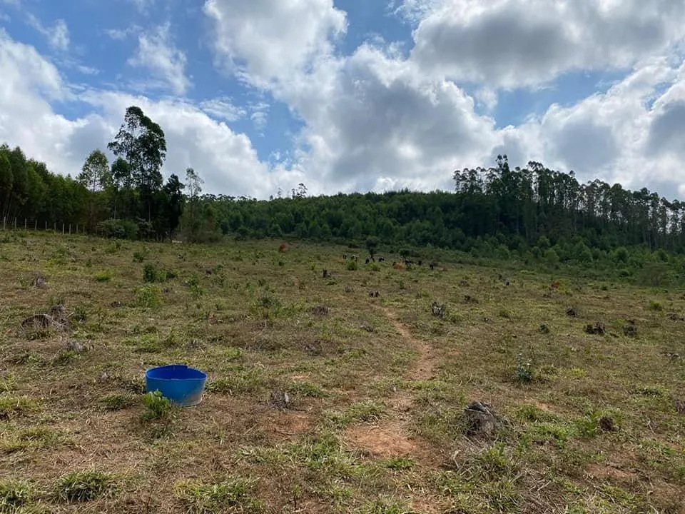 Imagem Sítio de Alto Padrão com 8,5 Hectares (85.000 metros quadrados) em Jeceaba, MG