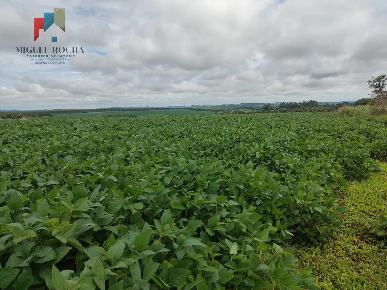 Imagem Fazenda região Itapetininga SP