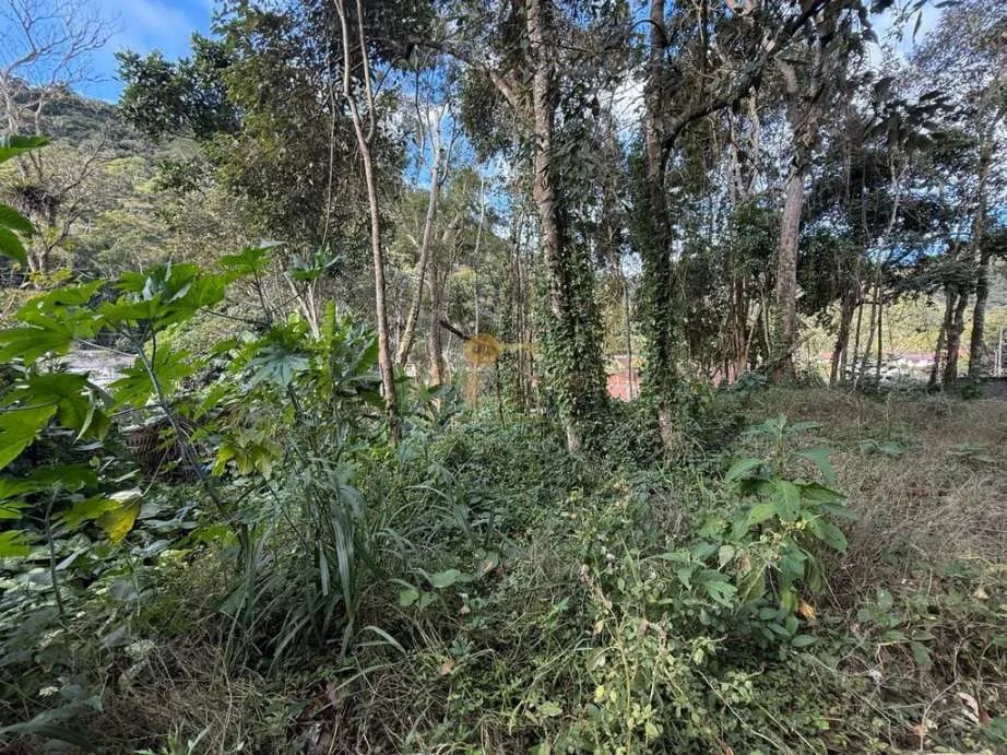 Foto do imóvel Terreno para Venda em Teresópolis / RJ em Rua Jardim Suspiro