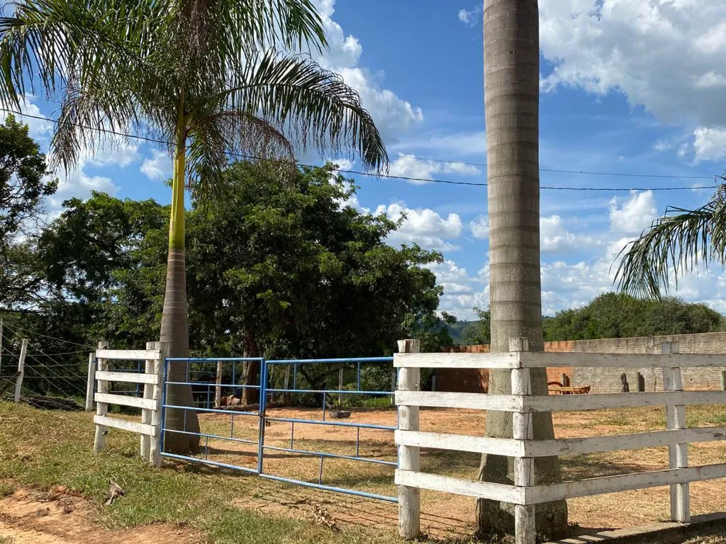 Imagem FAZENDINHA PORTEIRA FECHADA À VENDA - CARMO DO CAJURU (MG) 37 hectares de área total