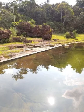 Imagem SITIO COMERCIAL em PRESIDENTE FIGUEIREDO - AM, Comunidade Rural