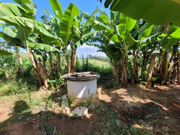 Imagem Chácara à venda em Socorro, terreno com 2000m², 4 dormitório