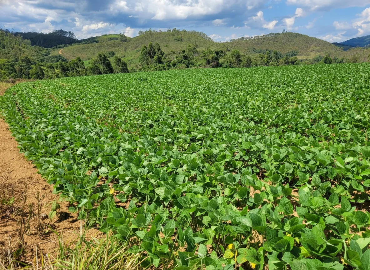 Foto do imóvel Fazenda 142,78 ha à venda em Área Rural, Caldas