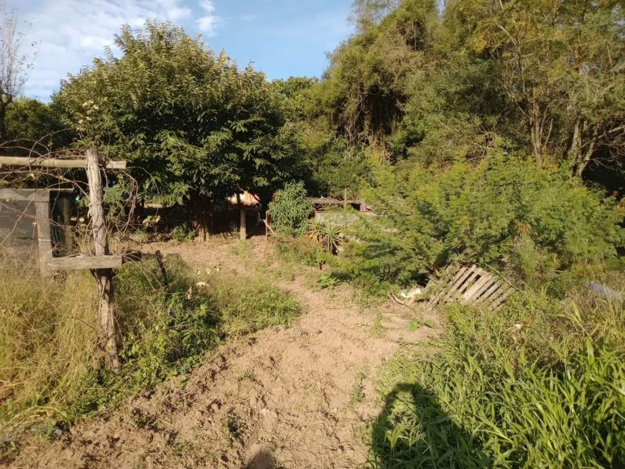 Imagem Sítio para Venda em Pelotas, Monte Bonito, 2 dormitórios, 1 banheiro, 1 vaga