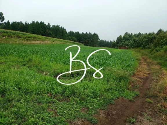Imagem SITIO RURAL em SANTA MARIA DO HERVAL - RS, Alto Padre Eterno