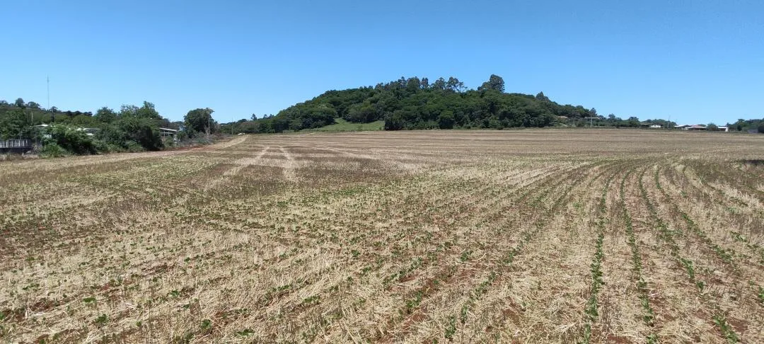 Imagem Chácara à venda em Cascavel - São Salvador - Lavoura e Rio