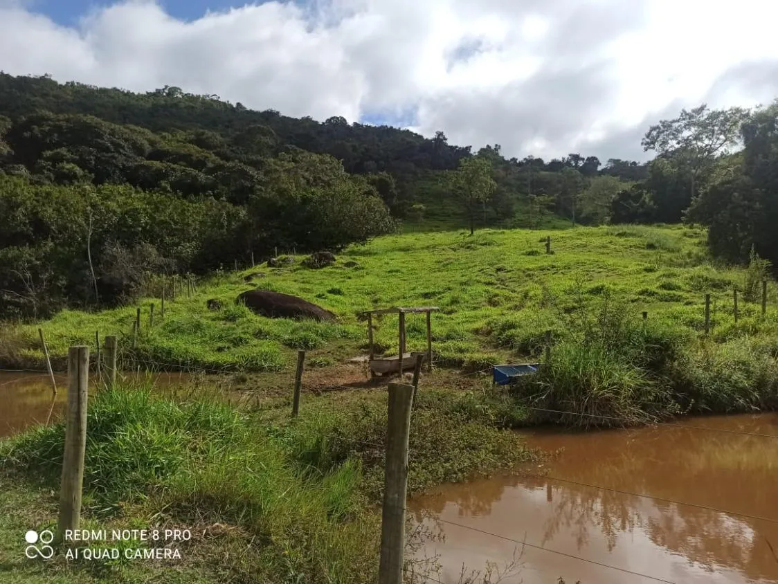 Imagem Vendo uma fazenda de 138 hectares em Passatempo/MG,