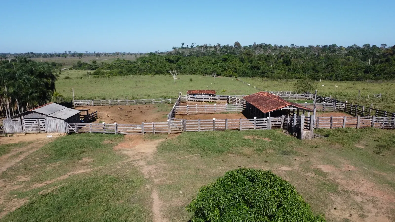 Imagem Fazenda à Venda, 484 HA em São Félix do Xingu - São Félix do Xingu