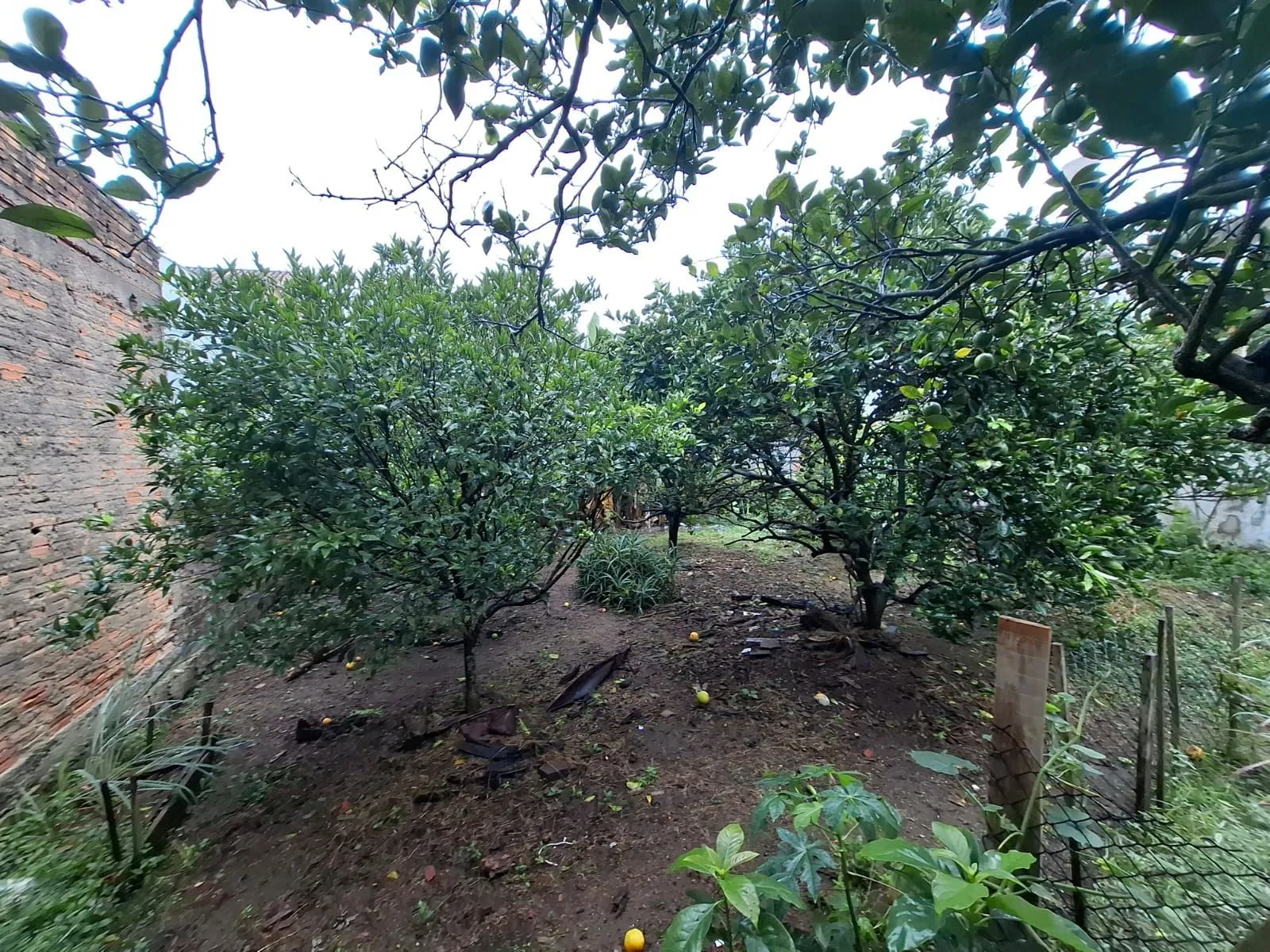 Imagem Oportunidade Imperdível - Terreno com 3 casas no Bairro Serraria Porto Alegre/RS