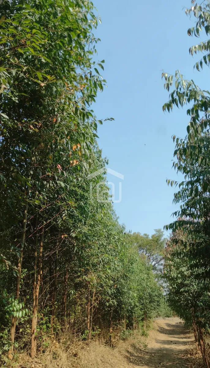 Imagem Sítio 24 m² à venda em Pocinhos do Rio Verde, Caldas