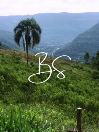 Imagem SITIO RURAL em NOVA PETRÓPOLIS - RS, Linha Pirajá Baixa