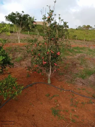 Imagem CHACARA RURAL em CALDAS - MG, Zona Rural
