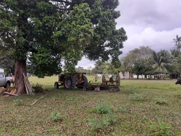 Imagem Fazenda à Venda,  em zona rural - Salvaterra