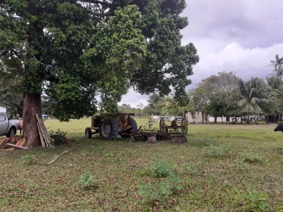Imagem Fazenda à Venda,  em zona rural - Salvaterra
