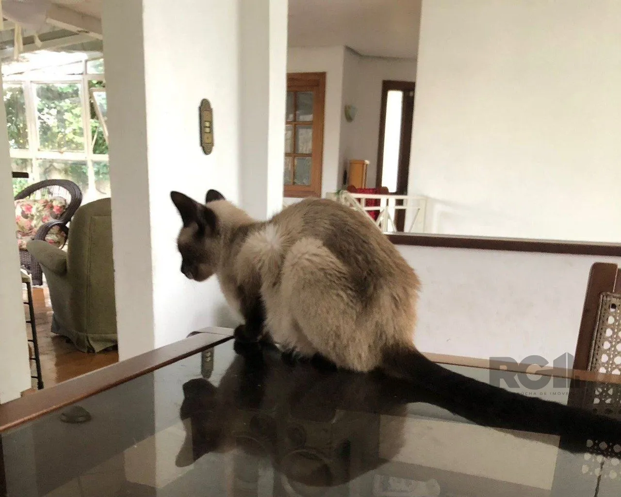 Imagem Casa em Bom Jesus