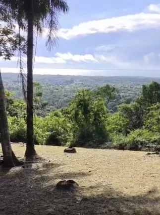 Foto do imóvel MORRO COM VISTA MAR - SERRA GRANDE