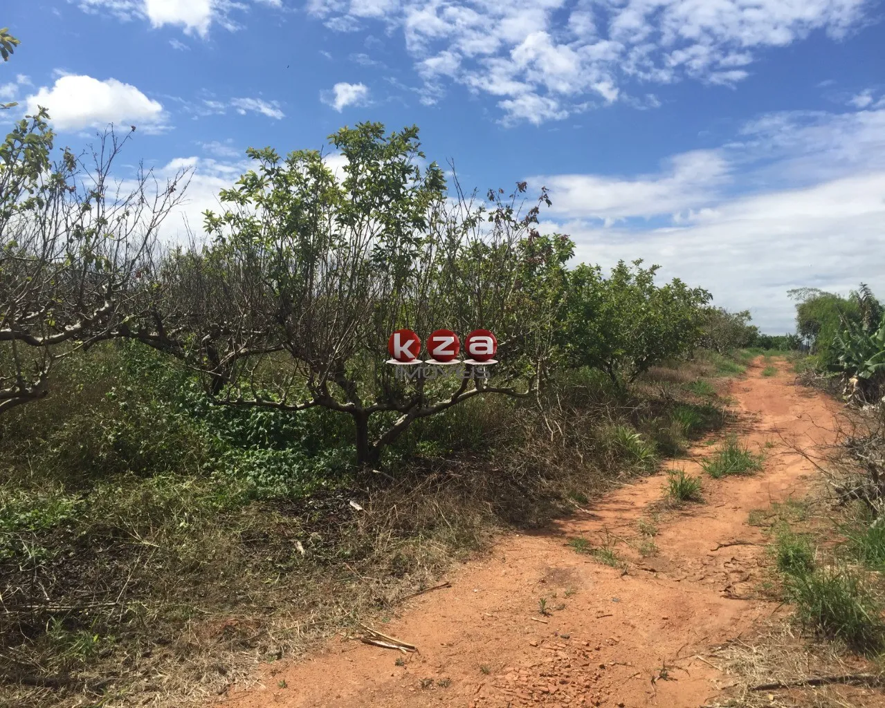 Imagem Sitio à venda em Valinhos-SP: 3 quartos, 1 sala, 2 banheiros, 46.000m² de área no bairro Macuco!