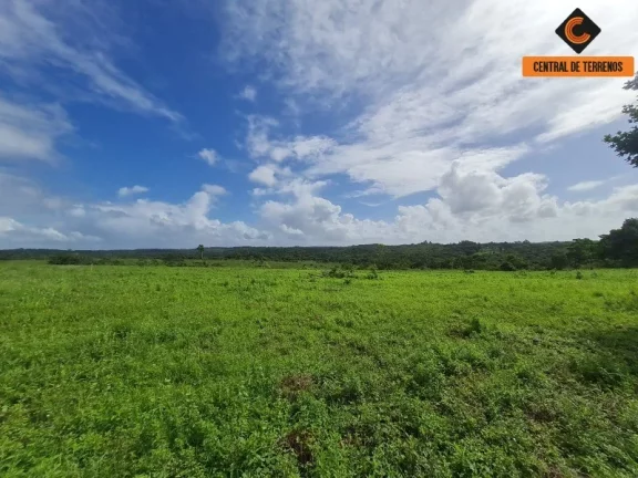 Imagem TERRENO EM BARRA DE POJUCA - LINHA VERDE