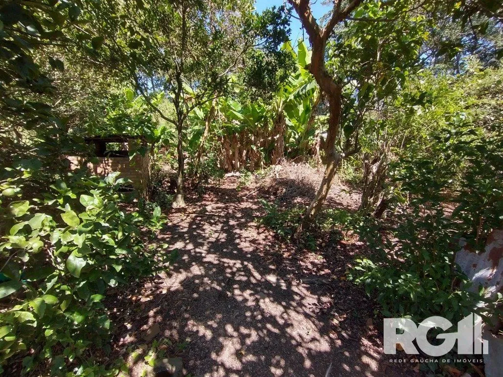 Imagem Excelente Sítio na Capital de 6.737,57 m2, Bairro Lami, Porto Alegre RS