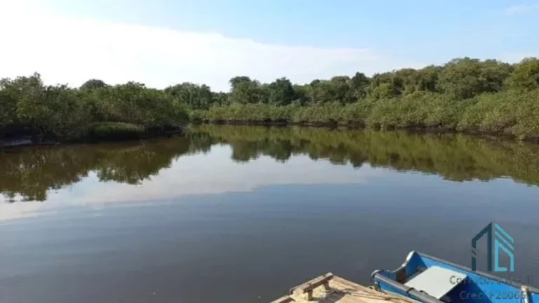 Imagem Chácara/Sítio, propriedade produtiva, 30 hectares com plantação de palmito pupunha, em Guaratuba PR