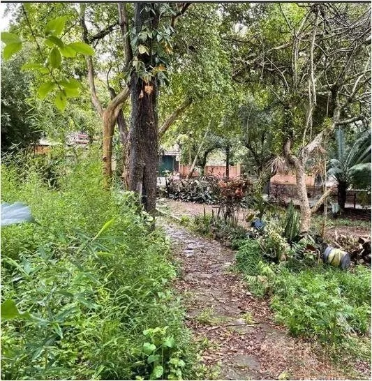 Terreno em Tristeza