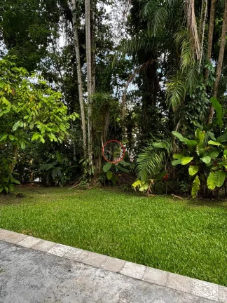 Imagem ACEITA PERMUTA COMO PARTE DE PAGAMENTO EM SANTOS OU SÃO PAULO, SERTÃO DO PIAVU. COM 2 DORMITÓRIOS, SENDO 1 SUÍTE , AREA 5.500 MT