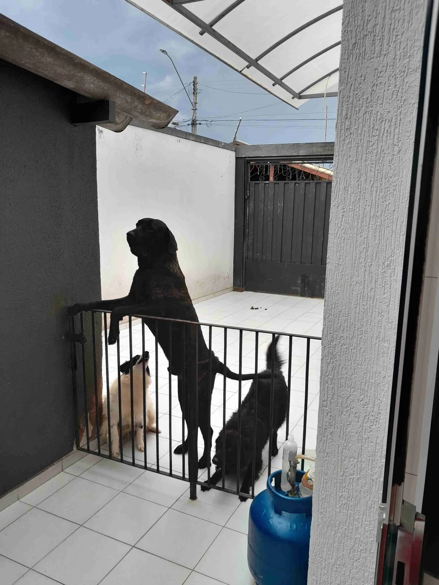 Imagem Excelente casa com piscina no conceituado bairro Vila Bourguese