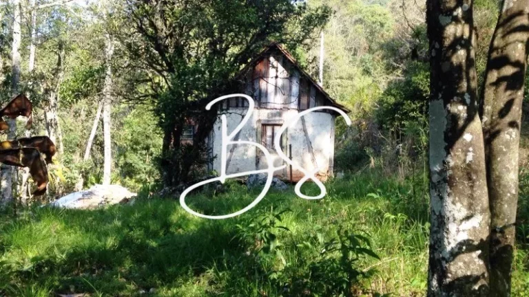 Imagem SITIO RURAL em NOVA PETRÓPOLIS - RS, Linha Pirajá Baixa