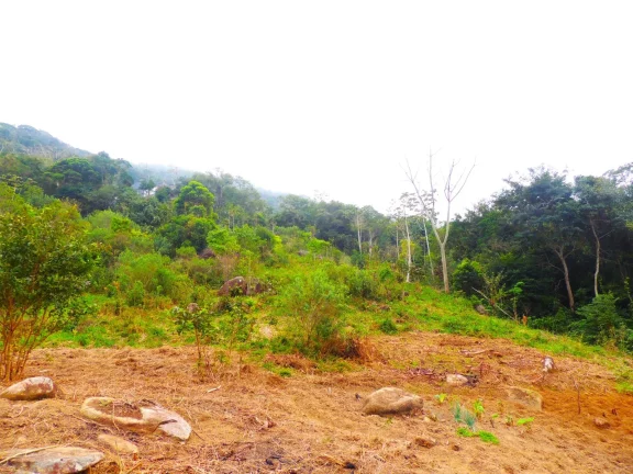 Imagem Terreno à venda em Garopaba-SC, bairro Macacu, 46.578,61m², com vista para Lagoa e Mar!