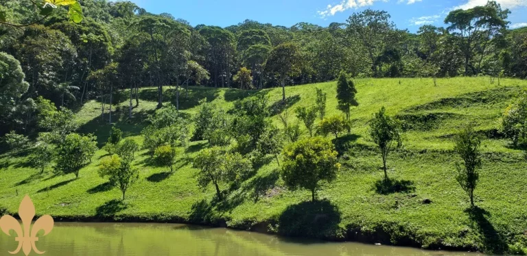 Imagem SITIO RESIDENCIAL em SANTO AMARO DA IMPERATRIZ - SC, Santo Amaro