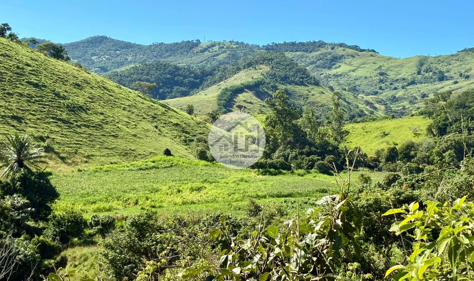 Imagem Fazenda/Sítios/Chácaras de 480000m² no bairro Carmo, em Carmo