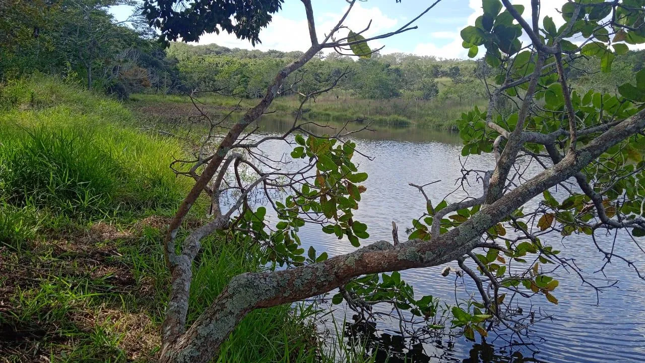 Imagem Vendo um excelente sítio em Carmo do Cajuru /MG , com 90.000 m² de área,