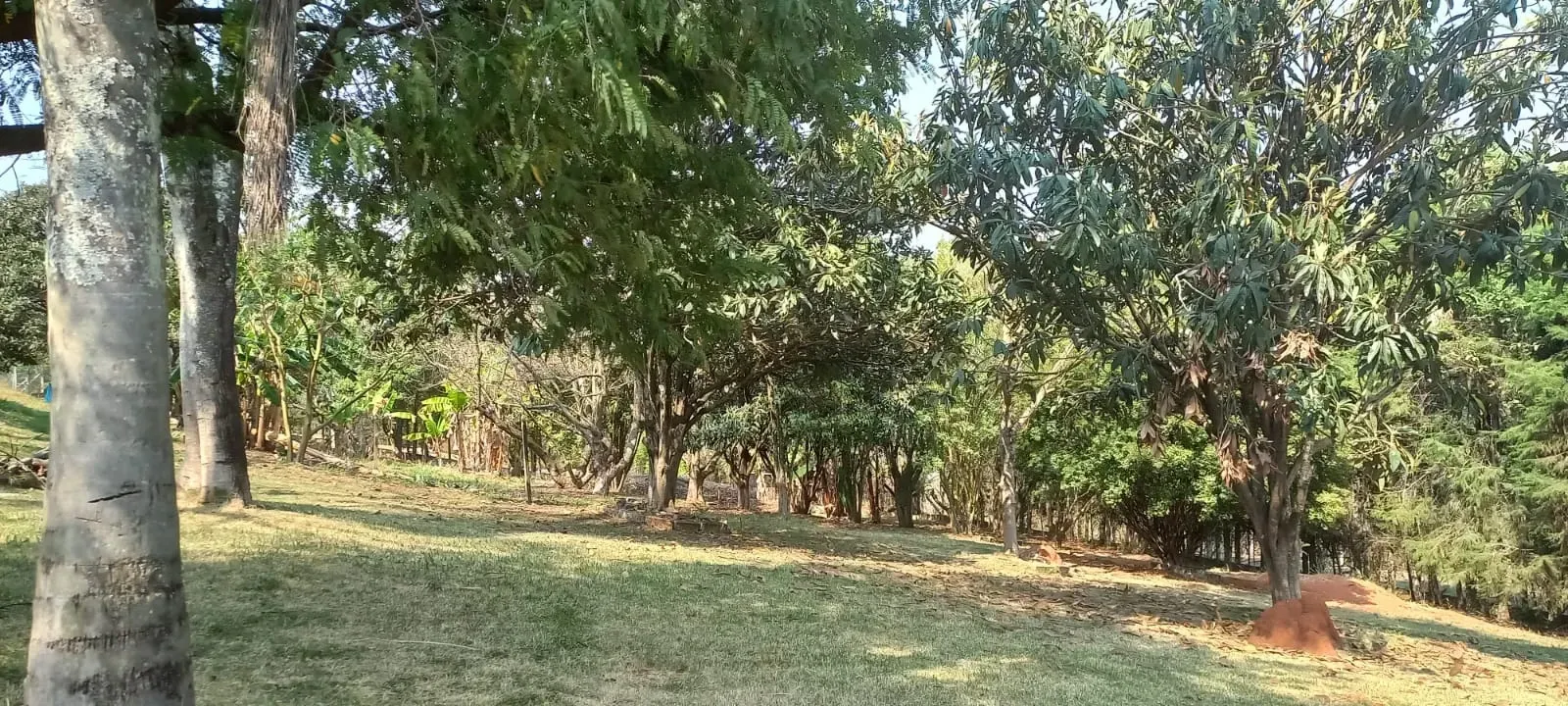 Imagem Chácara com 3 Quartos à Venda, 6.693 m² em Condomínio Quinta da Baroneza II - Bragança Paulista