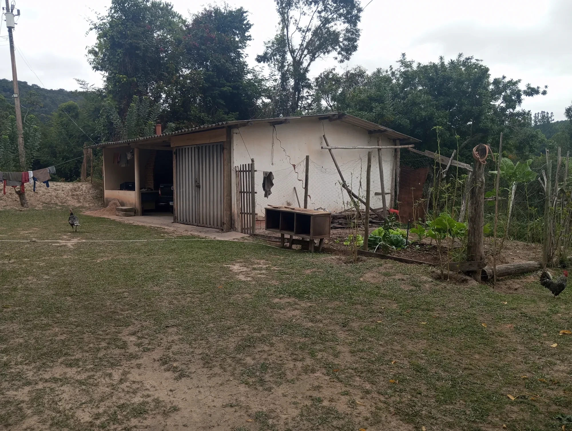 Imagem Sítio à Venda, 20000 metros em Nova União - Nova União